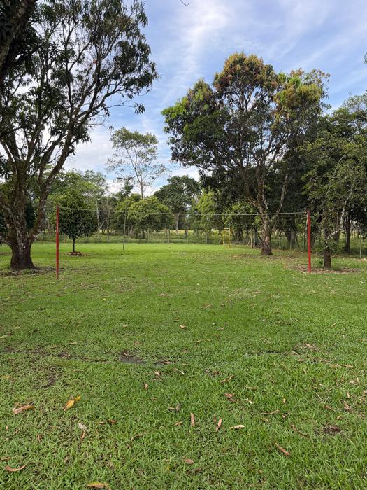 Zona verde amplia de grama con árboles grandes